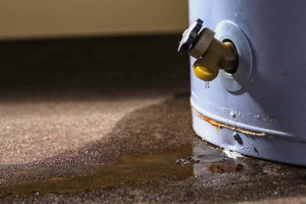 Best 24-hour water damage restoration  in Minier, IL