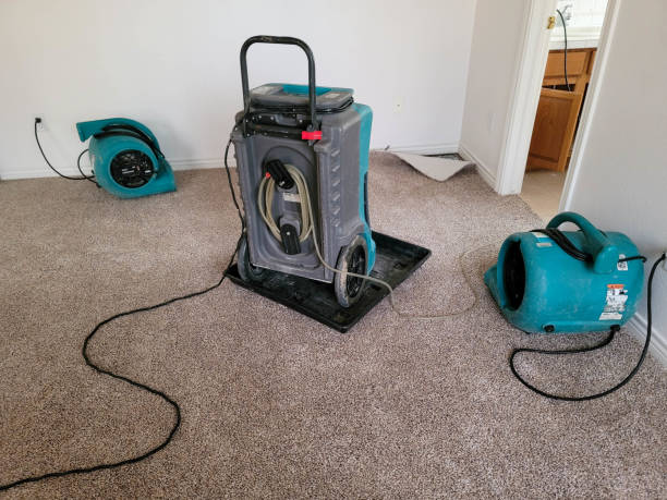 Best Professional water damage repair  in Minier, IL