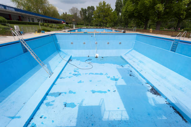 Best Flood restoration services  in Minier, IL