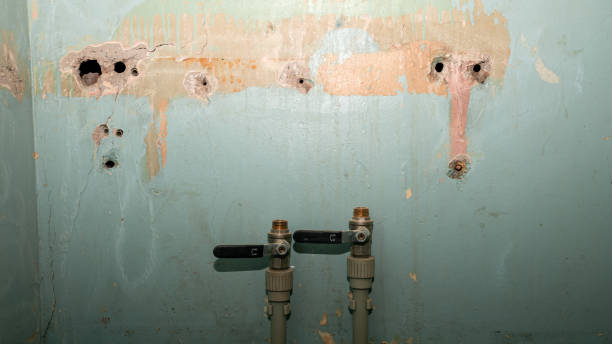 Best 24/7 water damage repair  in Minier, IL